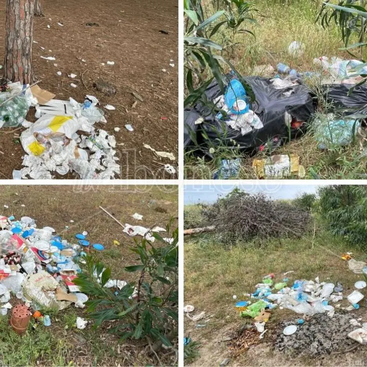 Pizzo, pineta Colamaio come una discarica a cielo aperto: «Da Pasquetta cumuli di rifiuti ovunque e nessuno interviene»