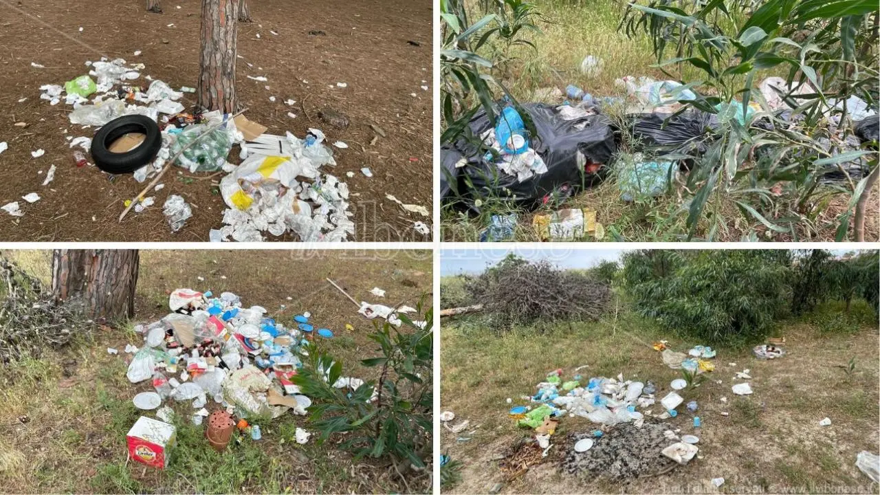 Pizzo, pineta Colamaio come una discarica a cielo aperto: «Da Pasquetta cumuli di rifiuti ovunque e nessuno interviene»