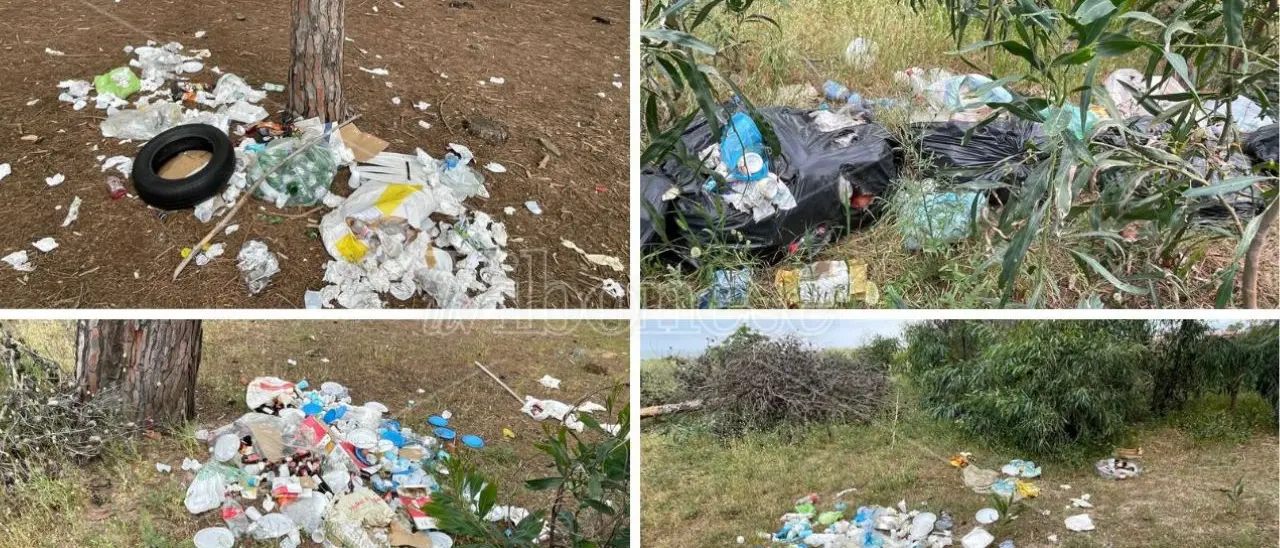 Pizzo, pineta Colamaio come una discarica a cielo aperto: «Da Pasquetta cumuli di rifiuti ovunque e nessuno interviene»