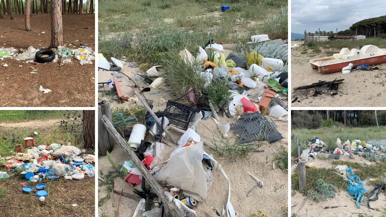 Un tappeto di spazzatura: la bellezza selvaggia della pineta Colamaio di Pizzo sfregiata nell'ultimo weekend festivo