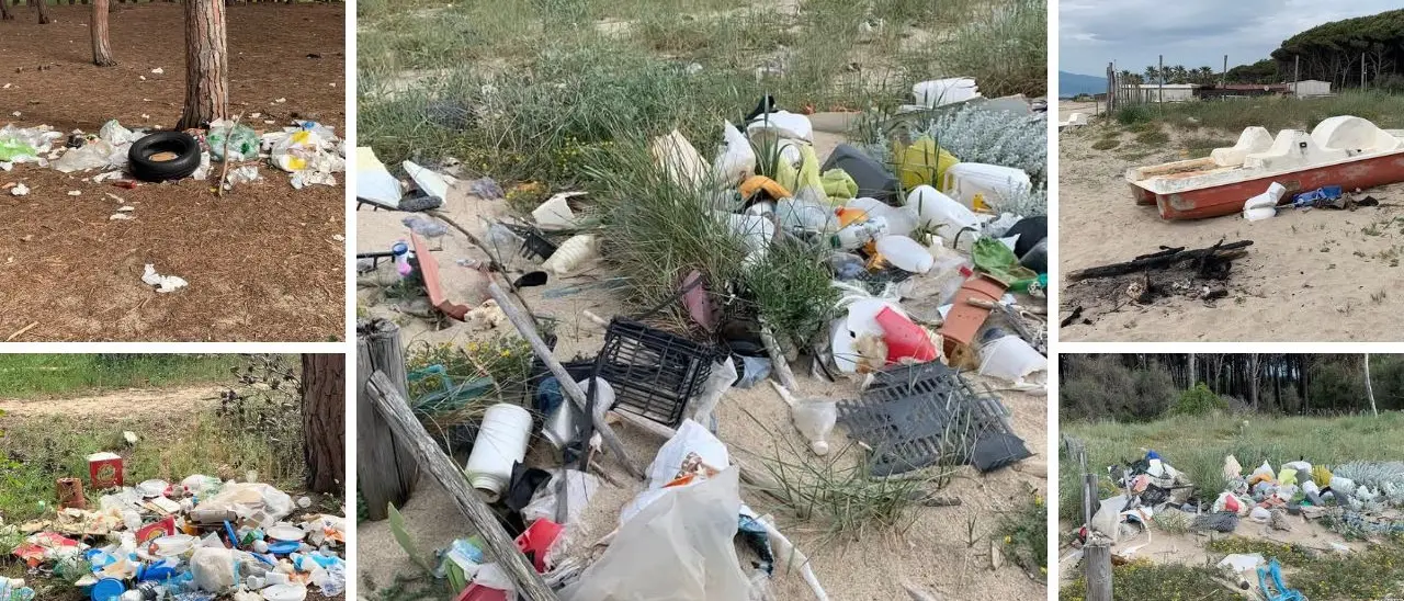 Un tappeto di spazzatura: la bellezza selvaggia della pineta Colamaio di Pizzo sfregiata nell'ultimo weekend festivo