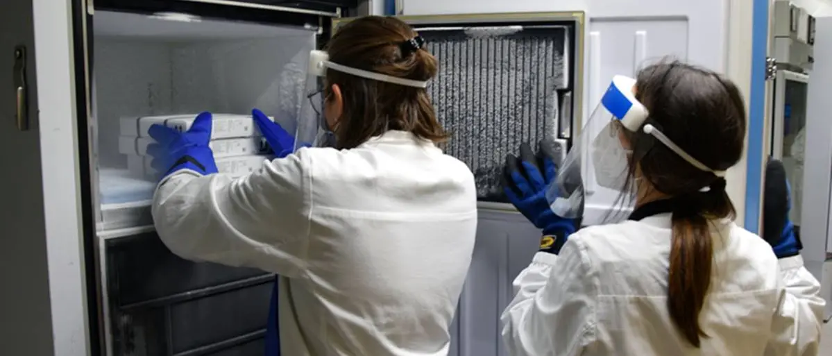 Vaccini “scippati”, l’Asp di Reggio: «A Vibo sono fermi in un congelatore»