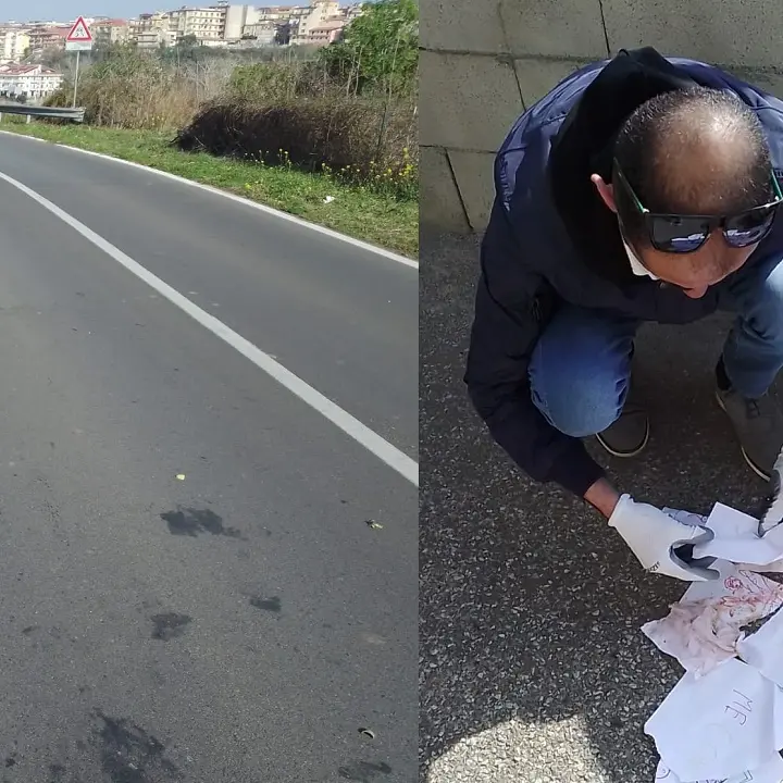 Vibo-San Gregorio: il ritorno dei «lordazzi» lungo la Statale 182