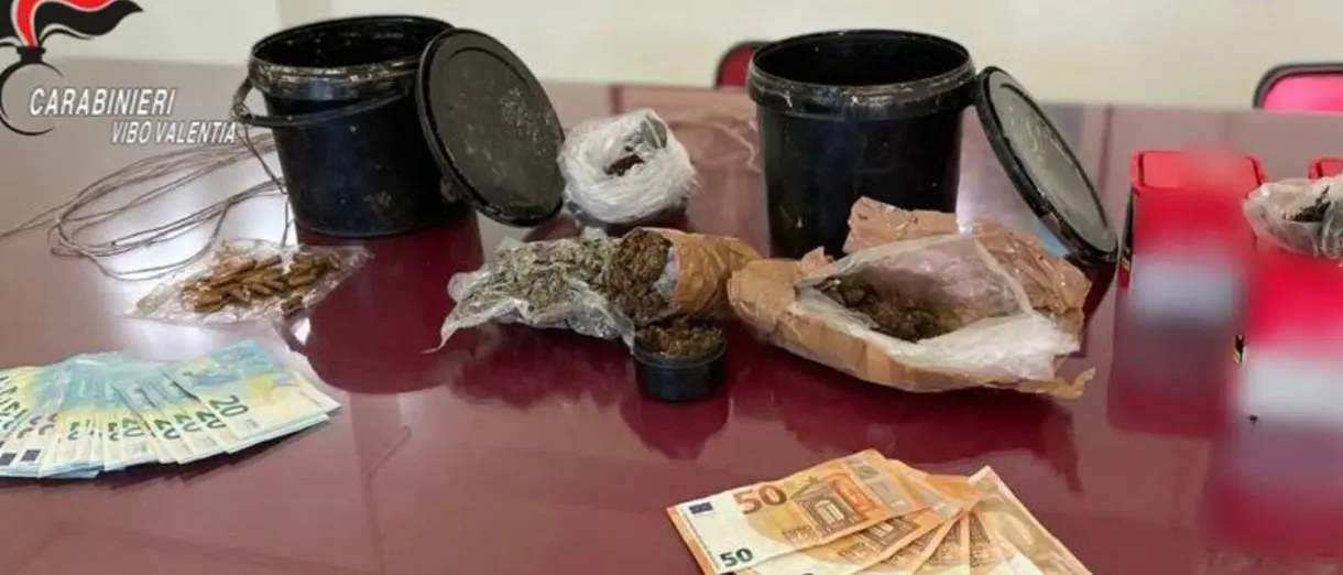 Droga, armi e… reddito di cittadinanza: in manette un 33enne a Ricadi