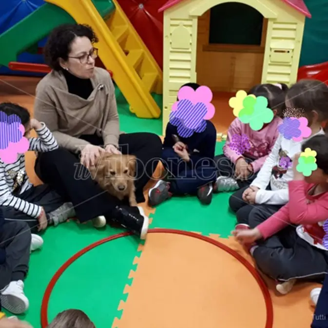 «Lascio la scuola per colpa della Dad», nella scelta di uno studente di Vibo il dramma di una generazione
