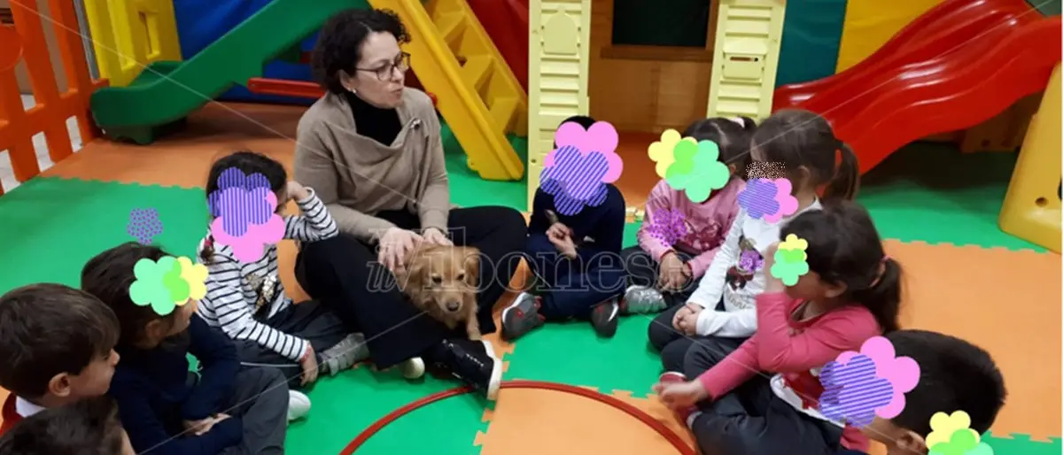 «Lascio la scuola per colpa della Dad», nella scelta di uno studente di Vibo il dramma di una generazione