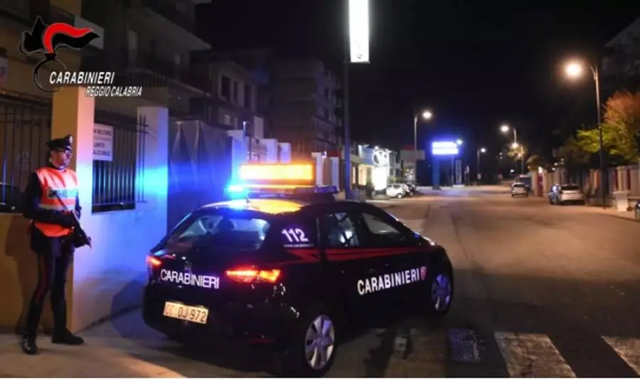 'Ndrangheta e traffico di rifiuti, 29 arresti fra Calabria e Nord Italia