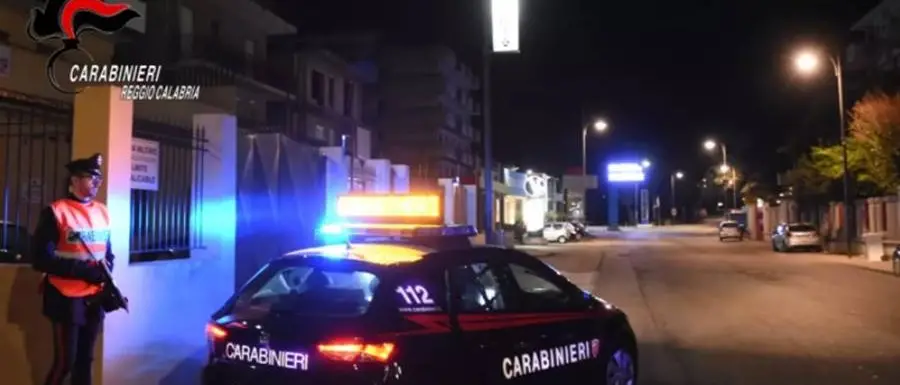 'Ndrangheta e traffico di rifiuti, 29 arresti fra Calabria e Nord Italia