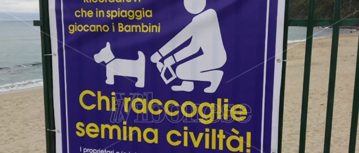 Chi raccoglie (la pupù del proprio cane) semina civiltà: a Vibo Marina spunta il cartello per sensibilizzare