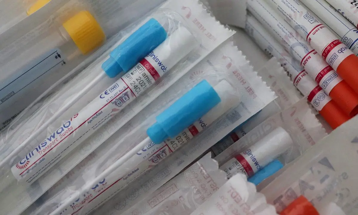 Vibo, screening per il rientro a scuola: un caso positivo su 857 tamponi