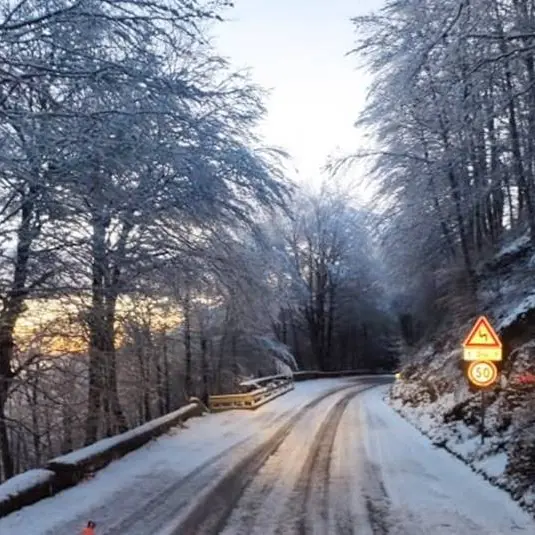 Prima neve sulle Serre vibonesi, mezzi Anas a lavoro sulla ex Ss110