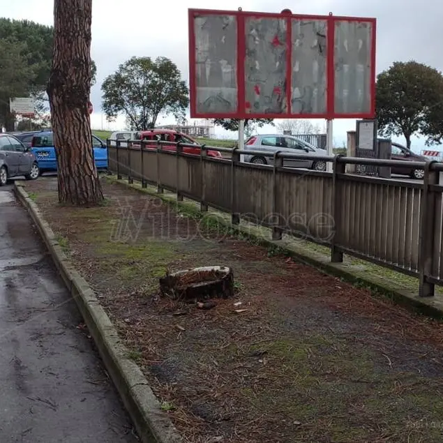 Covid, lunghe code per sottoporsi al tampone alla postazione di Vibo