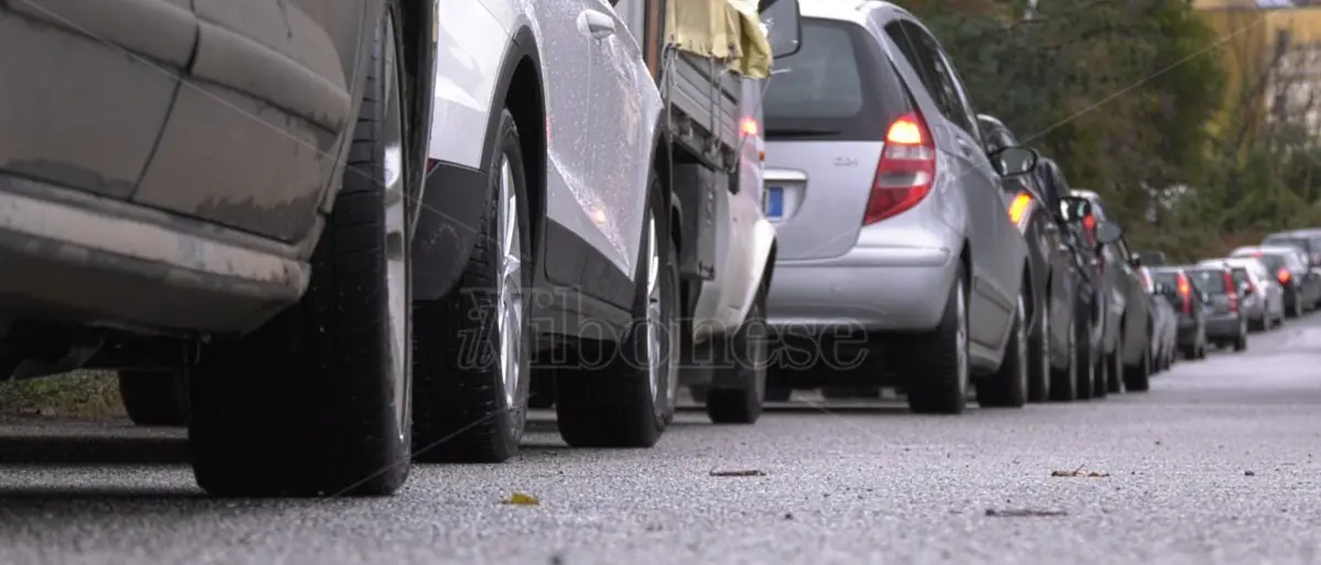Caos tamponi, Vibo democratica: «Il sindaco riferisca in aula»