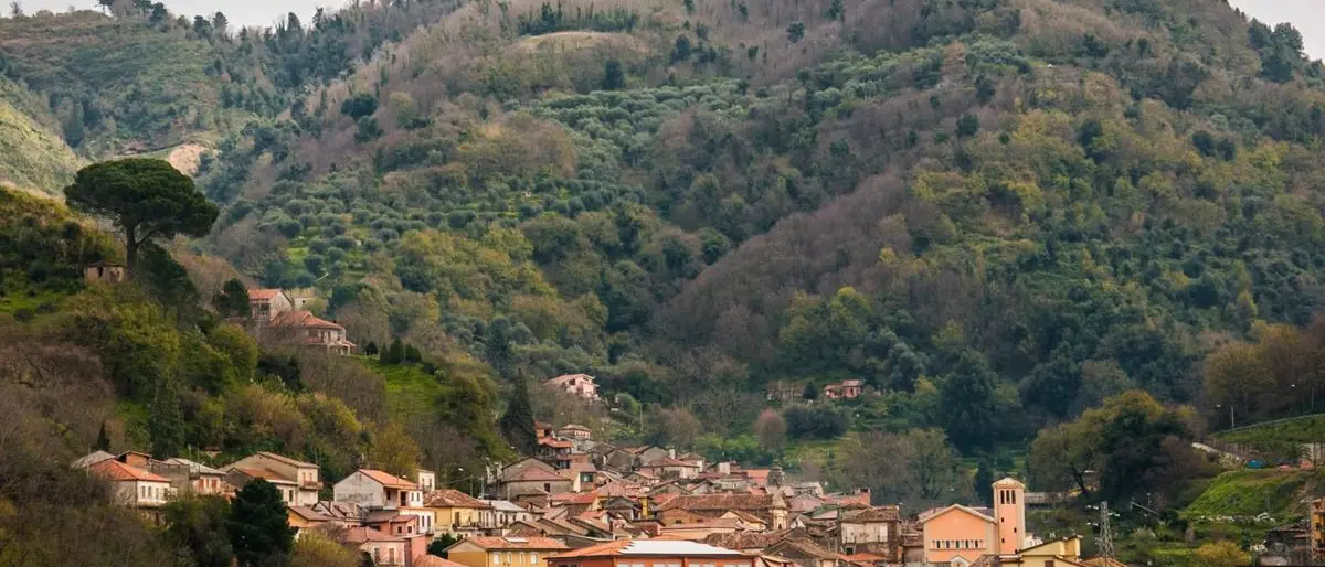 Pizzoni, il Comune esulta: «Abbiamo vinto la battaglia contro il Covid»