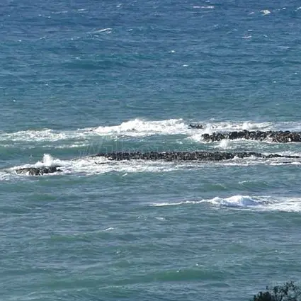 Archeologia, un’ordinanza per proteggere l’antico Portus Herculis