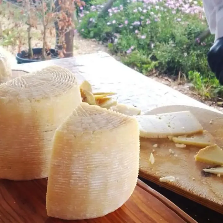 Il cambiamento climatico minaccia anche il Pecorino del Poro: il formaggio Dop vibonese protagonista dello Slow Food Day 2025