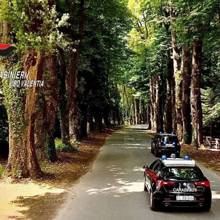 Soriano, un arresto per tentato omicidio: la vittima arrivò in ospedale con il cranio fratturato a colpi di accetta