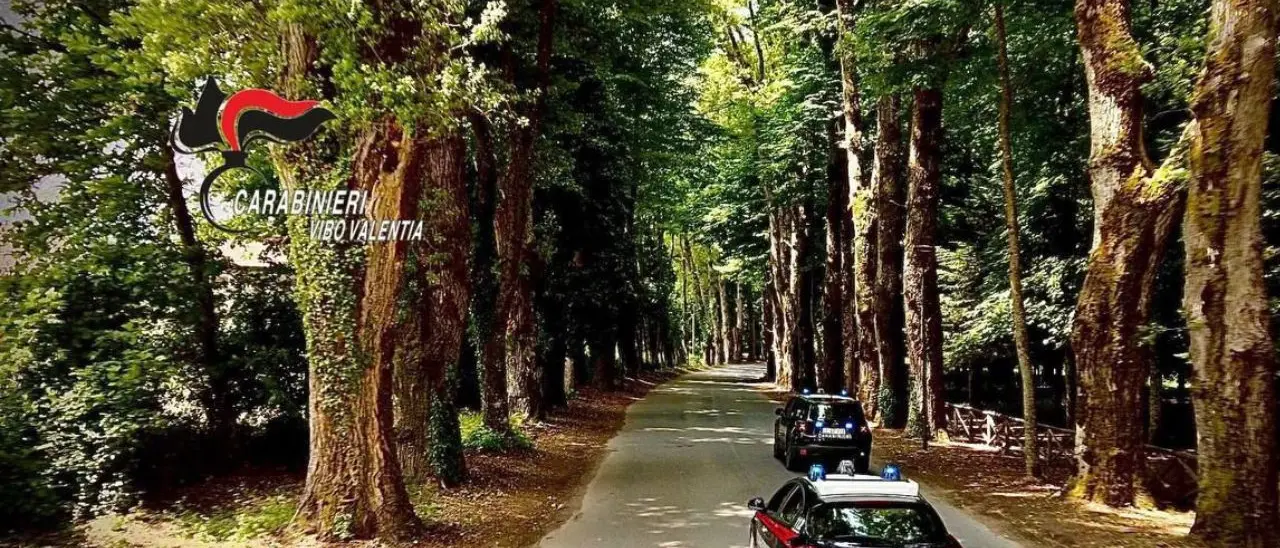 Soriano, un arresto per tentato omicidio: la vittima arrivò in ospedale con il cranio fratturato a colpi di accetta