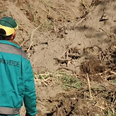 Calabria Verde “taglia” gli operai a Nardodipace e Fabrizia, protestano i sindaci