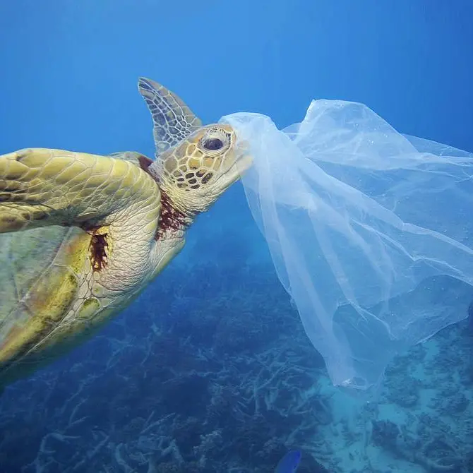 La Scuola secondaria di Filogaso trionfa nel concorso “Insieme cambiamo la rotta”