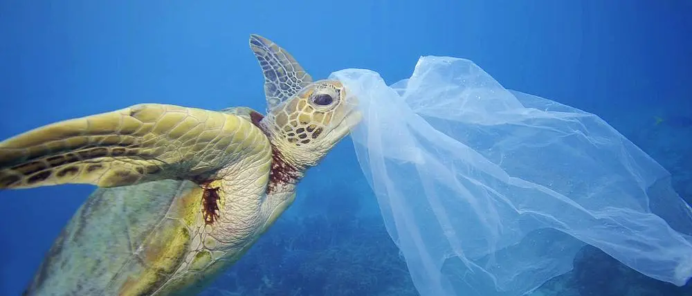 La carovana di Plastic Free domenica ripulirà la spiaggia di Bivona