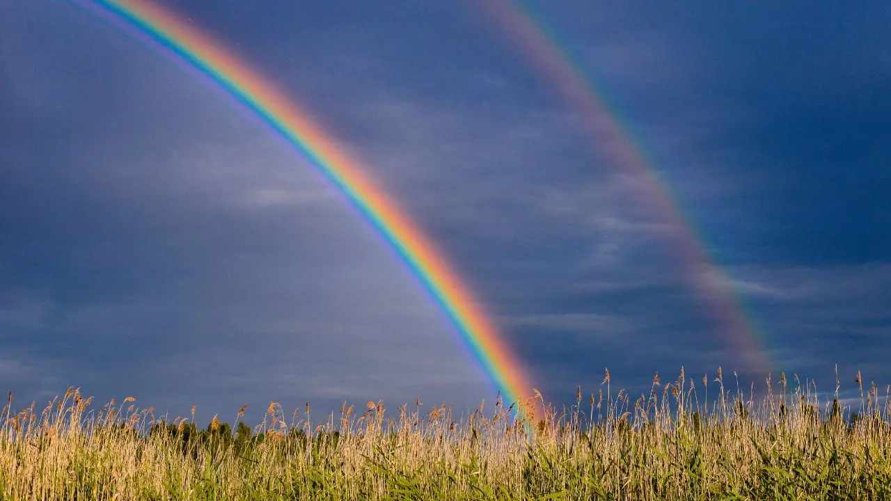 Meteo Vibonese, la primavera prova a ingranare la marcia: la pioggia lascia il posto al sole (nel pomeriggio) e le temperature salgono fino a 28 gradi