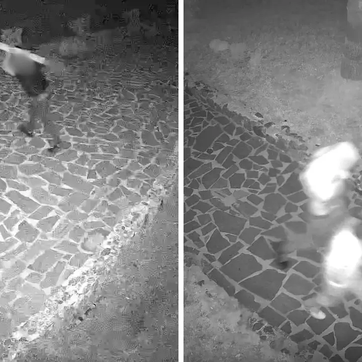 Vandalizzato il \"Giardino degli Dei\" di Capo Vaticano: le telecamere di sicurezza riprendono i balordi in azione