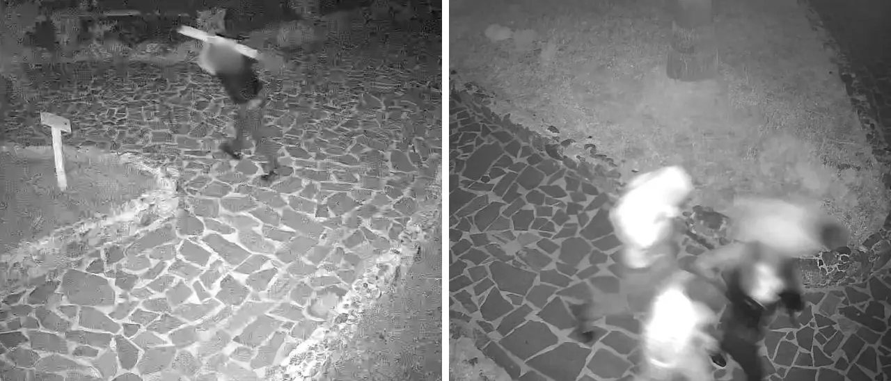 Vandalizzato il \"Giardino degli Dei\" di Capo Vaticano: le telecamere di sicurezza riprendono i balordi in azione