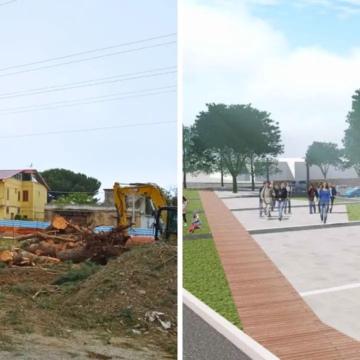 «I pini di piazza Salvemini andavano abbattuti perché pericolosi»: il Comune di Vibo replica alle polemiche