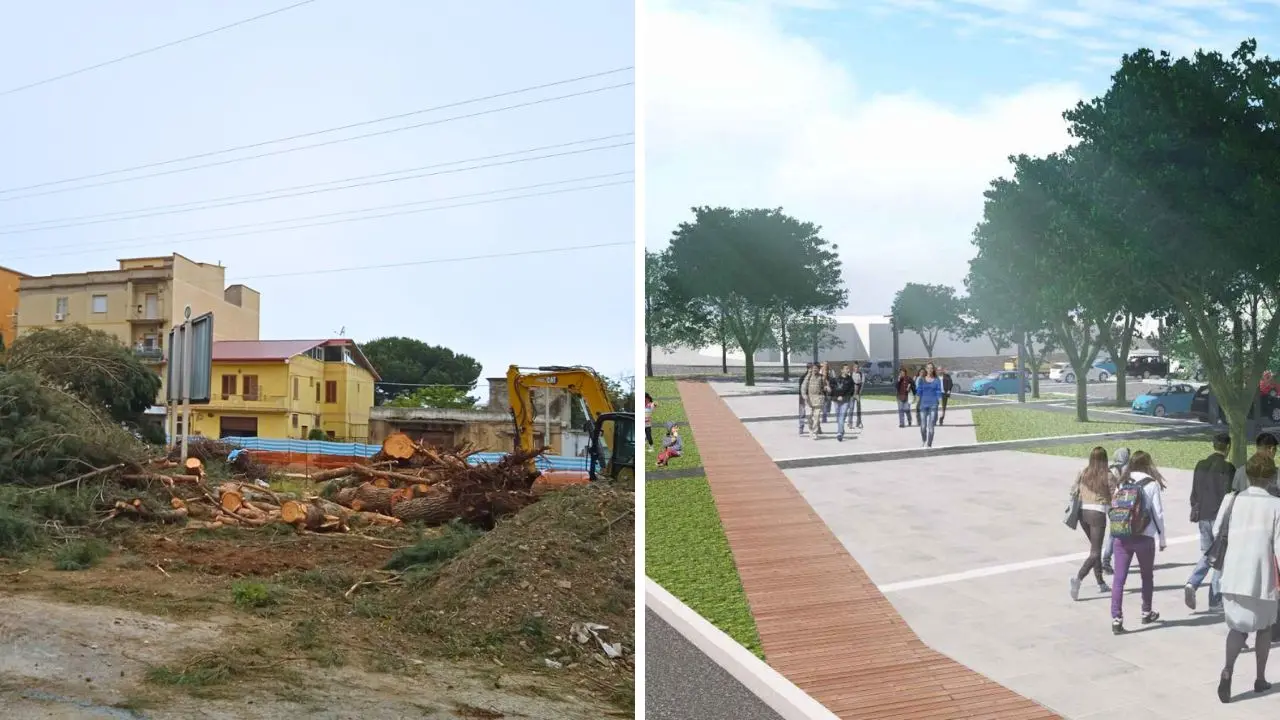 «I pini di piazza Salvemini andavano abbattuti perché pericolosi»: il Comune di Vibo replica alle polemiche
