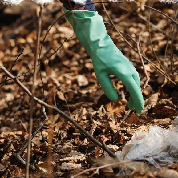 In campo per ripulire le strade, in tre comuni del Vibonese via alla Giornata ecologica