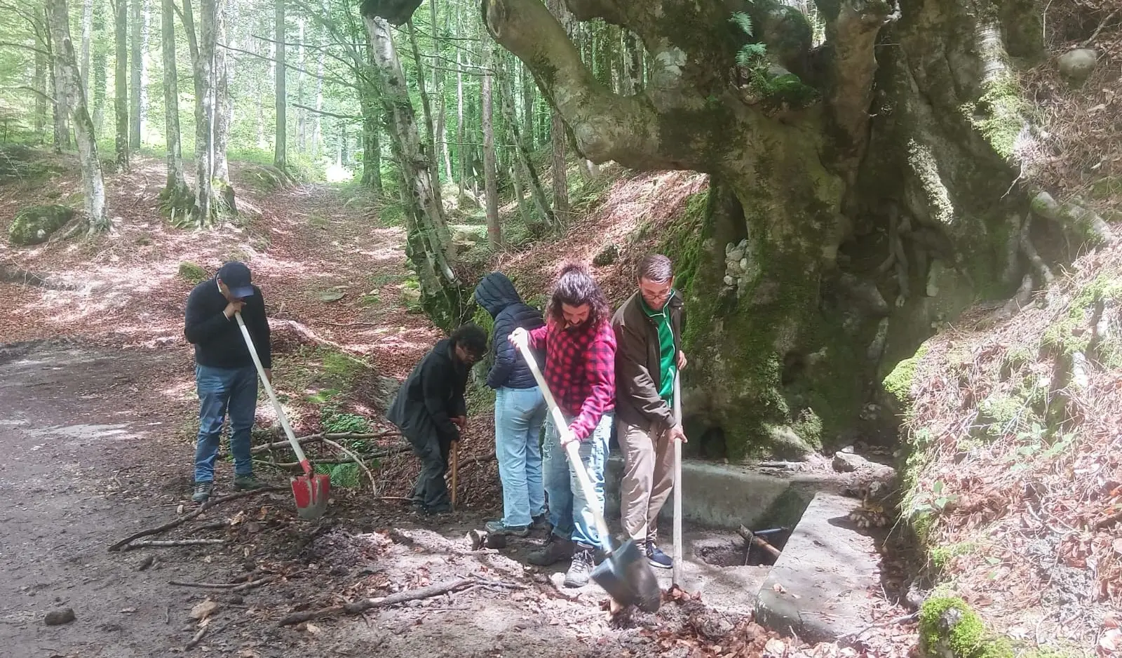 Serra San Bruno, i volontari di IncrociaMenti in campo per rimettere in sesto il rifugio “Scagghjuni”