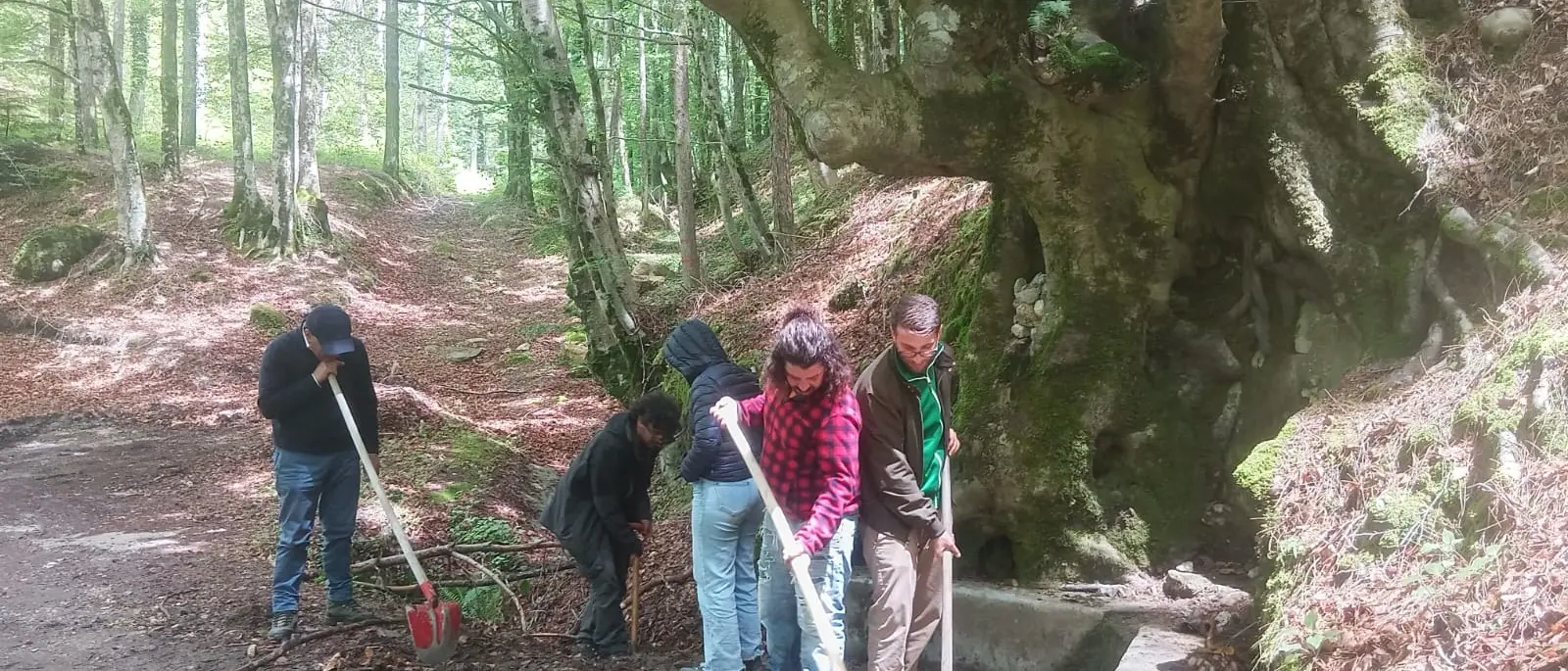 Serra San Bruno, i volontari di IncrociaMenti in campo per rimettere in sesto il rifugio “Scagghjuni”