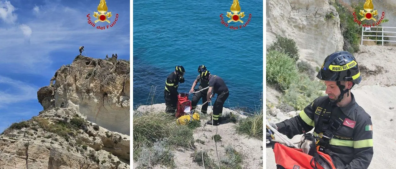 Ricadi, i vigili del fuoco e gli speleologi del Saf salvano una capretta in difficoltà su una scogliera a strapiombo