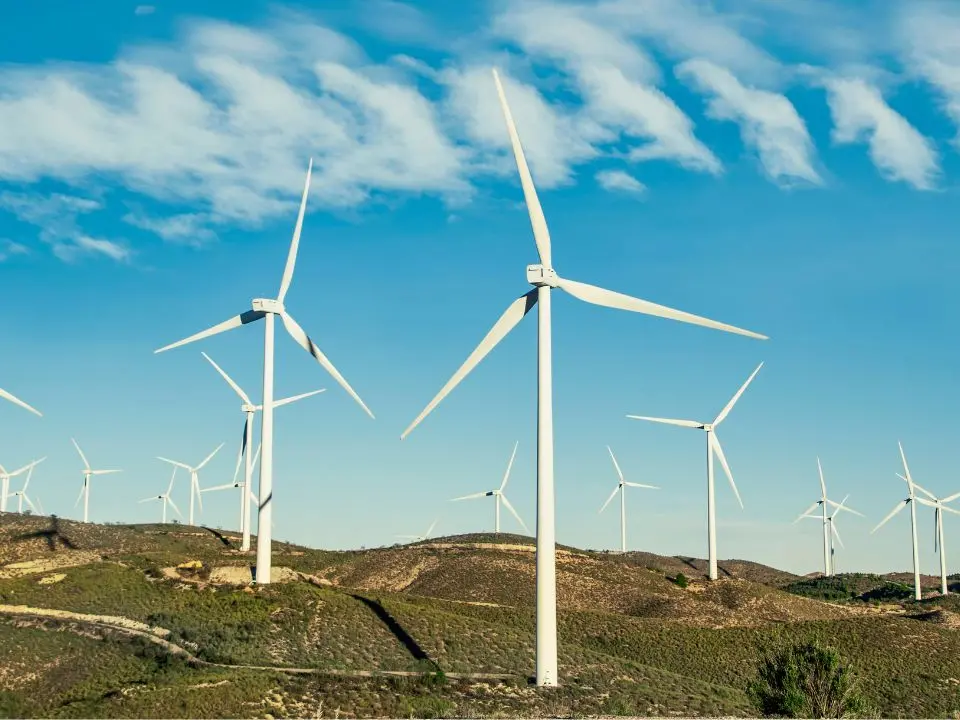 Pale eoliche a un chilometro dal Parco delle Serre, comuni sul piede di guerra: «Effetti negativi su turismo e comunità»