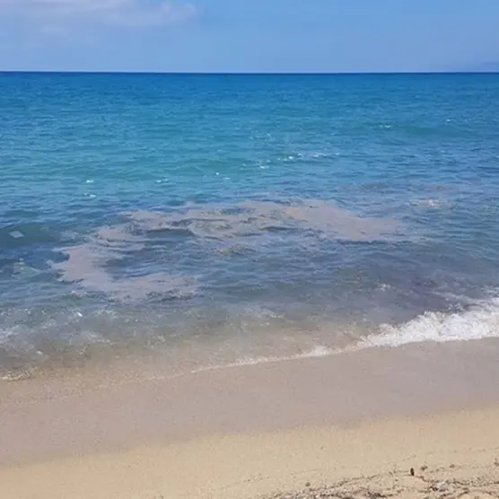 Depuratore Pizzo, Lo Schiavo: «Finanziamento verso lo sblocco, ora tocca a Occhiuto»