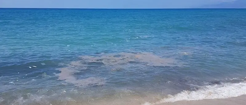 Mare inquinato, le associazioni: «Cosa sta facendo davvero la Regione per la depurazione?»
