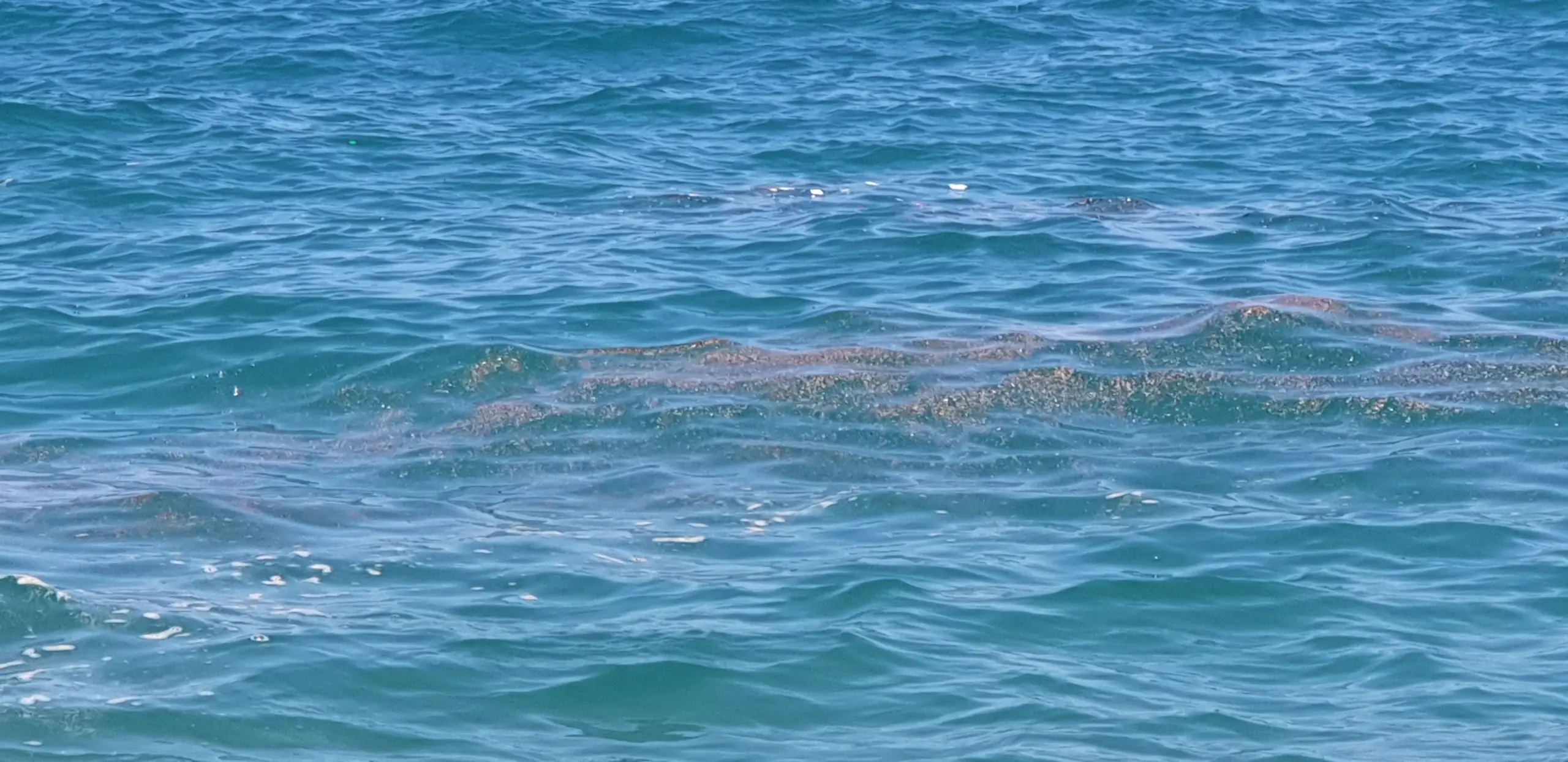 Depurazione a Pizzo, Lo Schiavo: «Si sblocchi l’iter di finanziamento»