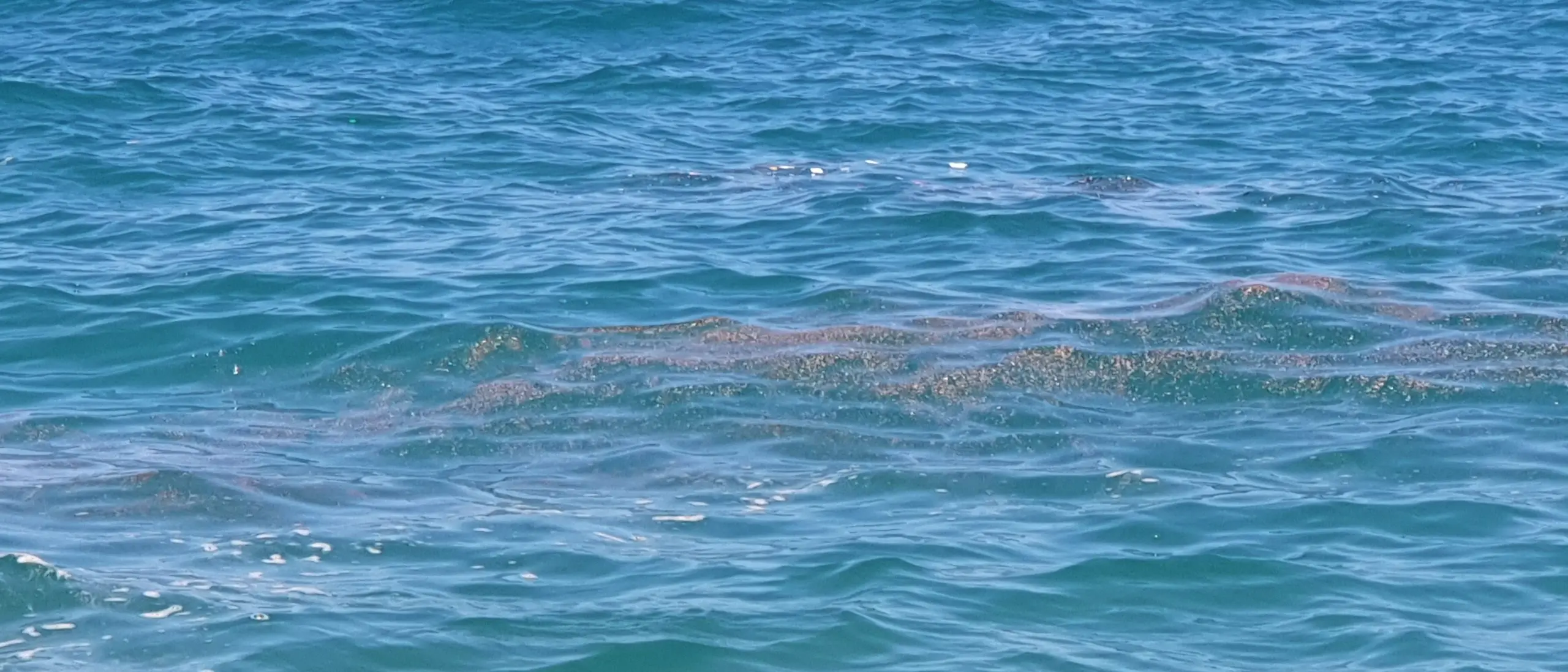 Depurazione a Pizzo, Lo Schiavo: «Si sblocchi l’iter di finanziamento»