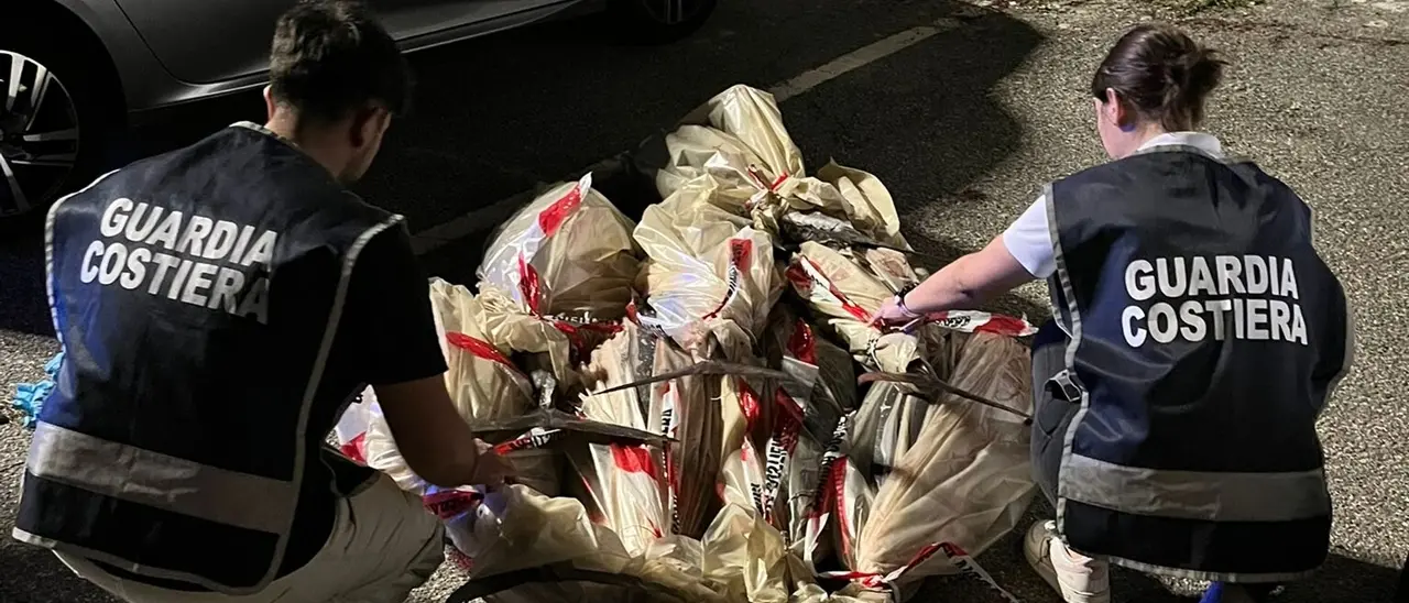 Nuovo sequestro di tonno rosso, tre quintali trovati su un furgone (senza assicurazione) al porto di Vibo Marina