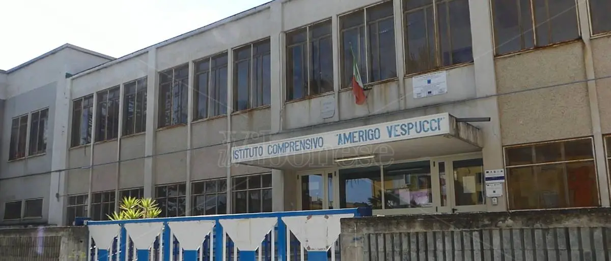 Vibo Marina, bimba in ospedale dopo il morso di un ragno a scuola: istituto sgomberato