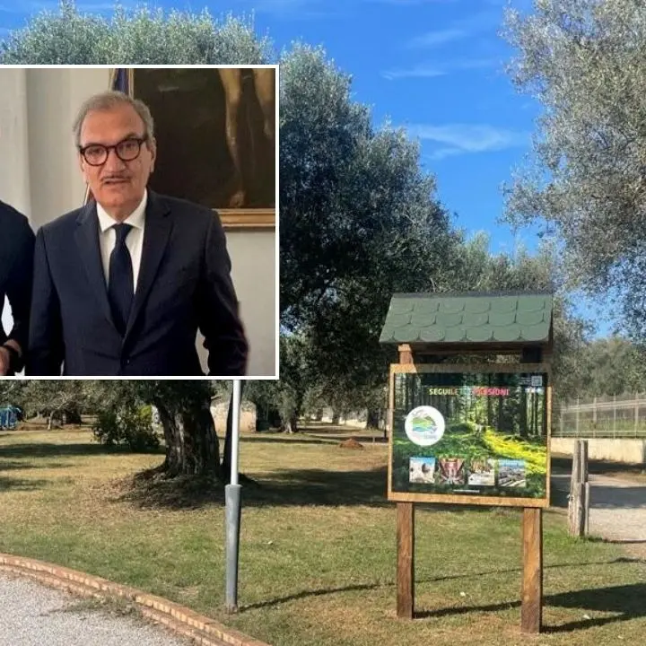 Intesa tra Comune di Vibo e Parco delle Serre per la manutenzione del verde nel Parco urbano