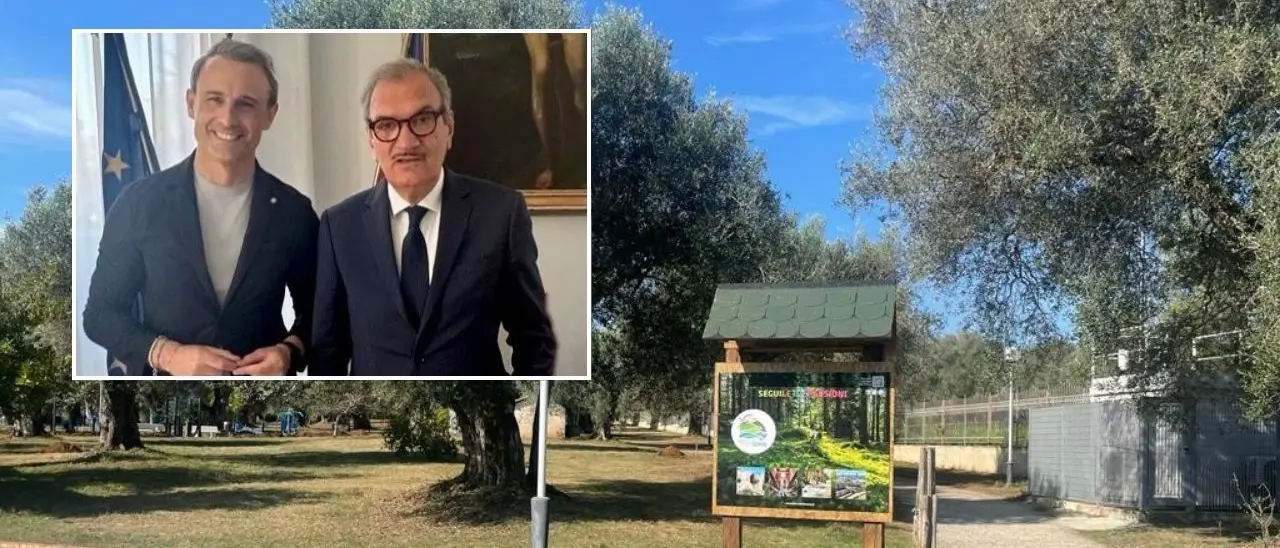 Intesa tra Comune di Vibo e Parco delle Serre per la manutenzione del verde nel Parco urbano