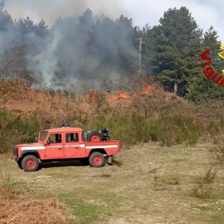 Con i primi caldi arrivano gli incendi: 55 interventi dei vigili del fuoco in Calabria. Operatori al lavoro anche nel Vibonese