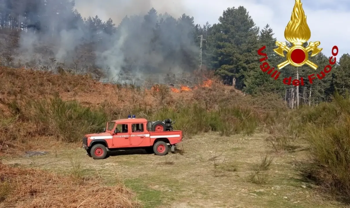 Con i primi caldi arrivano gli incendi: 55 interventi dei vigili del fuoco in Calabria. Operatori al lavoro anche nel Vibonese