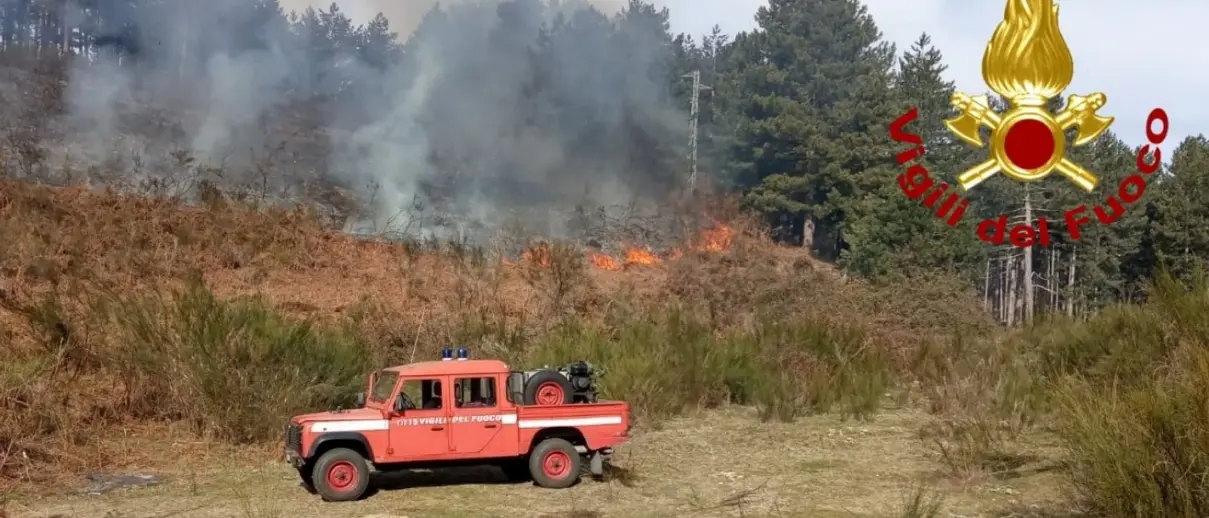 Con i primi caldi arrivano gli incendi: 55 interventi dei vigili del fuoco in Calabria. Operatori al lavoro anche nel Vibonese