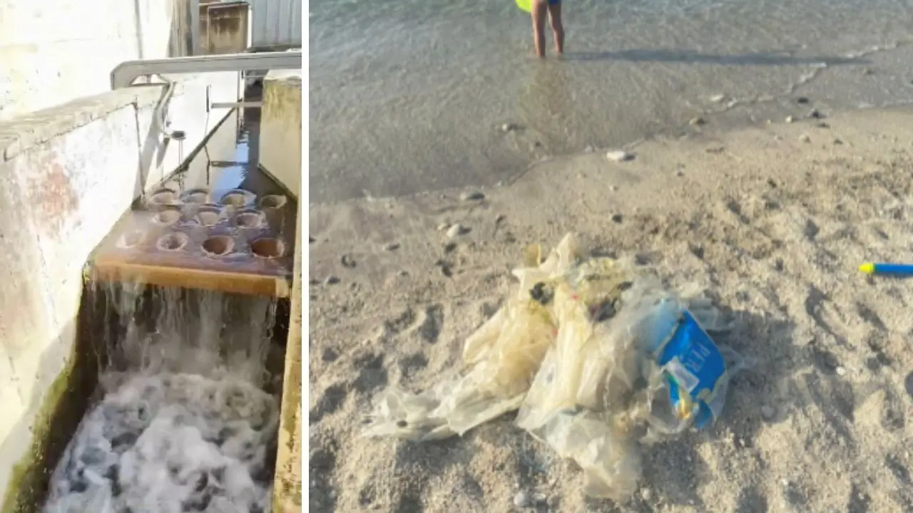 Mare sporco a Vibo Marina, sui social monta la rabbia ma il Comune spiega: «Il depuratore funziona, i rifiuti arrivano via mare»