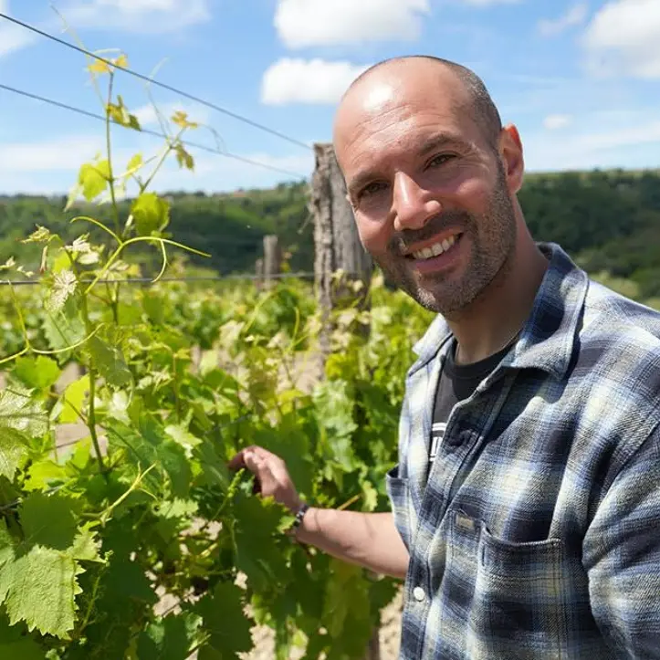 Le Cantine Benvenuto di Francavilla Angitola trionfano al concorso Radici del Sud: conquistati 4 premi