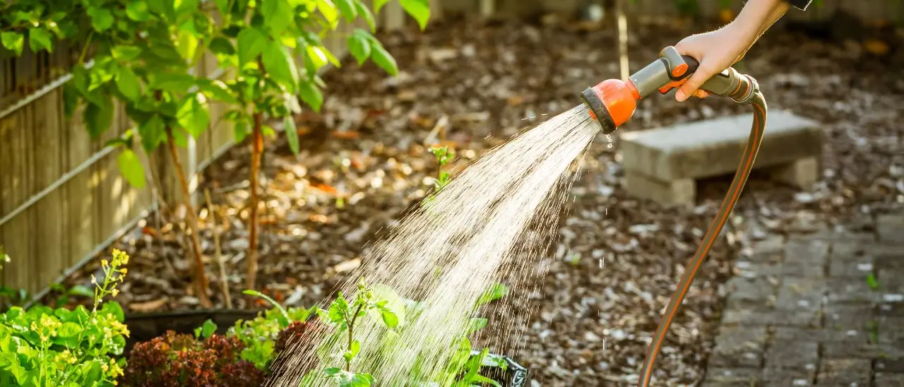 Arriva la siccità, il sindaco di Vibo vieta fino al 31 ottobre di lavare l’auto e innaffiare orti, giardini e manti erbosi