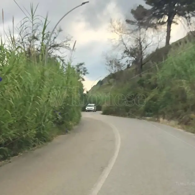 Sicurezza sulla ex statale 522, a Briatico associazioni e sindaci si mobilitano: presto un tavolo tecnico e un documento unico\n